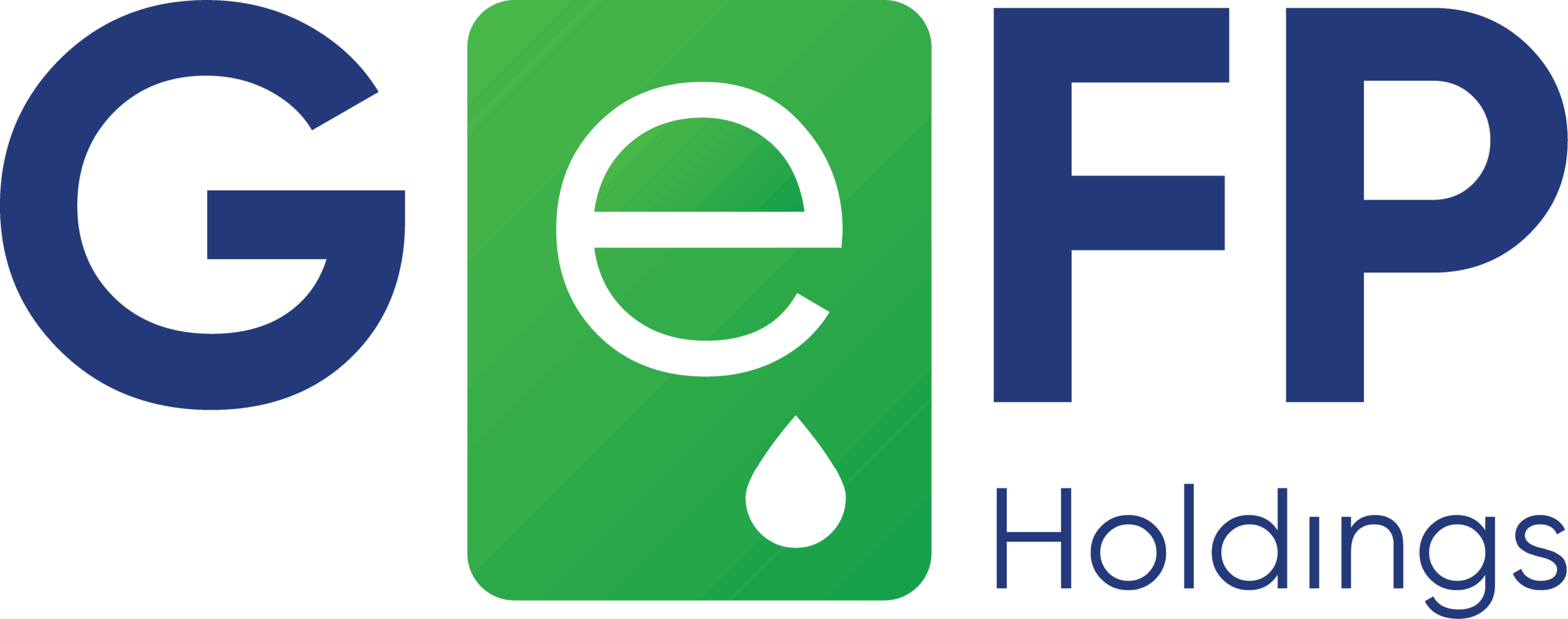 GeFP Holdings
